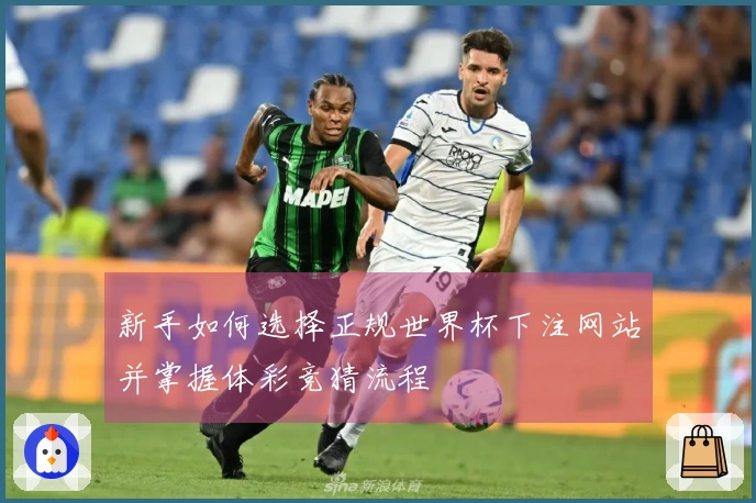新手如何选择正规世界杯下注网站并掌握体彩竞猜流程