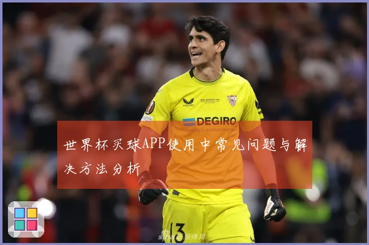 世界杯买球APP使用中常见问题与解决方法分析