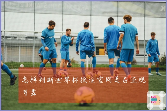 怎样判断世界杯投注官网是否正规可靠