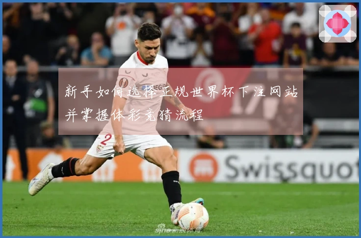 新手如何选择正规世界杯下注网站并掌握体彩竞猜流程
