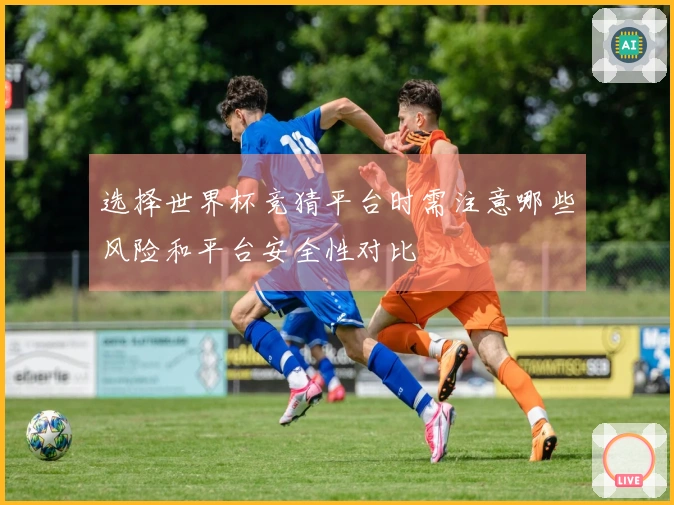 选择世界杯竞猜平台时需注意哪些风险和平台安全性对比