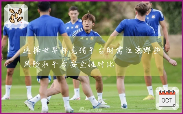 选择世界杯竞猜平台时需注意哪些风险和平台安全性对比